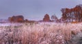 Autumn nature landscape in november. Panoramic view on meadow and trees covered hoarfrost. Fall. Scenery of Autumn morning. Royalty Free Stock Photo