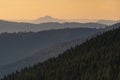 Autumn nature landscape in rodnei mountains with trees, sky and clouds in the morning Royalty Free Stock Photo