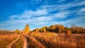 Autumn nature. Landscape on sunny bright day. Colorful trees on beautiful meadow in the morning. Royalty Free Stock Photo