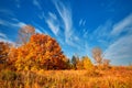 Autumn nature. Landscape on sunny bright day. Colorful trees on beautiful meadow in the morning. Royalty Free Stock Photo