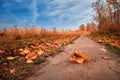 Autumn nature. Landscape on sunny bright day. Colorful trees on beautiful meadow in the morning. Royalty Free Stock Photo