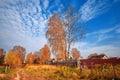 Autumn nature. Landscape on sunny bright day. Colorful trees on beautiful meadow in the morning. Royalty Free Stock Photo