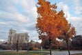 Autumn nature, Muzeon park in Moscow city center. Royalty Free Stock Photo