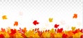 Autumn nature panorama with colorful leaves. Royalty Free Stock Photo