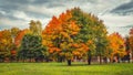Autumn nature in park. Colorful trees in fall. Royalty Free Stock Photo