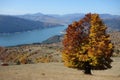 Autumn in neamt mountains,romania