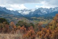 Autumn near Ridgway Royalty Free Stock Photo