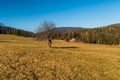 Autumn near Visalaje in Moravskoslezske Beskydy miountains in Czech republic