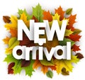 Autumn new arrival poster with leaves.