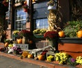 Autumn in New England