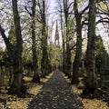 Newark Cemetery, London Road Nottinghamshire UK in Autumn