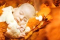 Autumn Newborn Baby Sleep, New Born Kid Sleeping in Fall Leaves Royalty Free Stock Photo