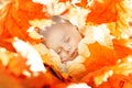 Autumn Newborn Baby Sleep, New Born Kid Sleeping in Leaves Royalty Free Stock Photo