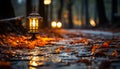 Autumn night, glowing lantern illuminates vibrant nature generated by AI