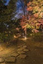 Autumn night lightup of the maple forest and stone path of the Rikugien Garden of Tokyo. Royalty Free Stock Photo