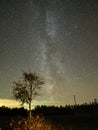 Autumn night sky stars and milky way observing Royalty Free Stock Photo