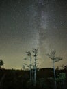 Autumn night sky stars and milky way observing Royalty Free Stock Photo