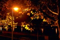 Autumn night with street lamp Royalty Free Stock Photo
