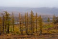 Autumn in Norilsk