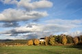 Autumn in Norway near Oslo