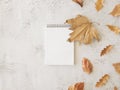 Autumn notebook mockup. Empty spiral notebook with copy space and dried maple and oak leaves. Top view Royalty Free Stock Photo