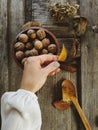 Autumn, november, flatlay, stilllife, country Royalty Free Stock Photo