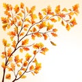 Autumn oak branch Royalty Free Stock Photo