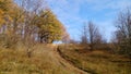 Autumn oak forest, on the outskirts of which passes a country road