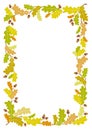 Autumn oak frame background - vector illustration