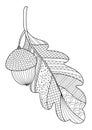 Autumn oak leaf with acorn doodle coloring book page. Black and white vector zentangle illustration. Royalty Free Stock Photo