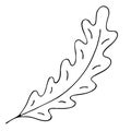 Autumn oak leaf, vector element, doodles, coloring book Royalty Free Stock Photo