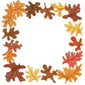 Autumn Oak Leaves Frame Royalty Free Stock Photo
