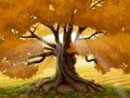 Autumn oak tree with golden sun beams Royalty Free Stock Photo