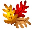 Autumn Oak Tree Leaves Clipart Royalty Free Stock Photo