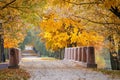 Autumn October colorful park. Foliage trees alley Royalty Free Stock Photo