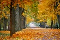 Autumn October colorful park. Foliage trees alley Royalty Free Stock Photo