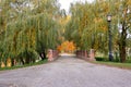 Autumn October colorful park. Foliage trees alley Royalty Free Stock Photo