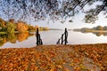 Autumn October colorful park. Foliage trees alley Royalty Free Stock Photo