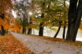 Autumn October colorful park. Foliage trees alley Royalty Free Stock Photo