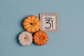 Autumn October flat lay. Orange mini pumpkins and calendar date in wooden frame. Halloween day. Blue background. Oak leaves. Fall