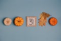 Autumn October flat lay. Orange mini pumpkins and calendar date in wooden frame. Halloween day. Blue background. Oak leaves. Fall