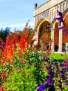 Autumn, October, garden, colourful, red, purple