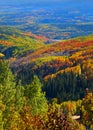 Autumn in Ohio pass, Colorado