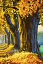 Autumn oil painting big old trees oak in autumn park forest Royalty Free Stock Photo