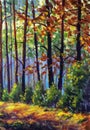 Autumn oil painting. Autumn forest with sunlight. Path in forest through trees with vivid colorful leaves. Royalty Free Stock Photo