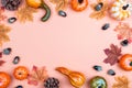 Autumn orange background with pumpkins, leaves and acorns Royalty Free Stock Photo