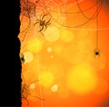 Autumn Orange Background With Spiders And Web