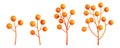 Autumn orange berry branch 3d render illustration set - cartoon bright colorful icon of ripe round plant fruit Royalty Free Stock Photo