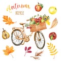 Autumn orange bicycle with basket, apples and tree leaves on white background. Watercolor Fall bike, isolated