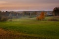 Autumn orange forest trees in a park with green grass and yellow leaves, evening. Beautiful foliage with mist, with grain Royalty Free Stock Photo